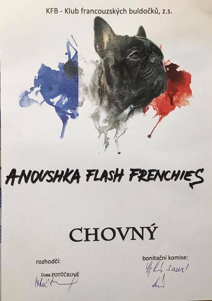Anoushka Flash Frenchies
